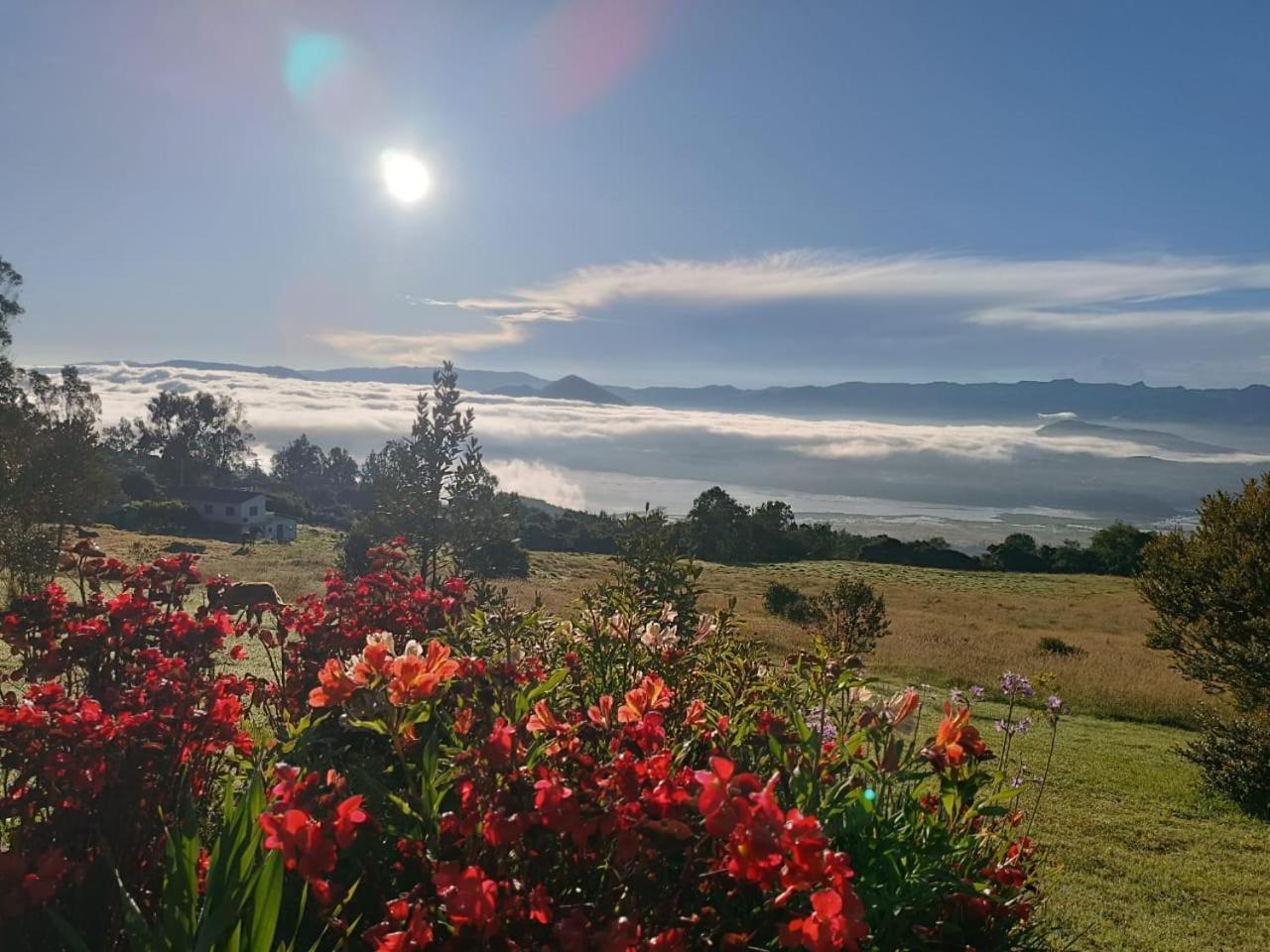 Glamping Hermoso Amanecer Guatavita Eksteriør bilde