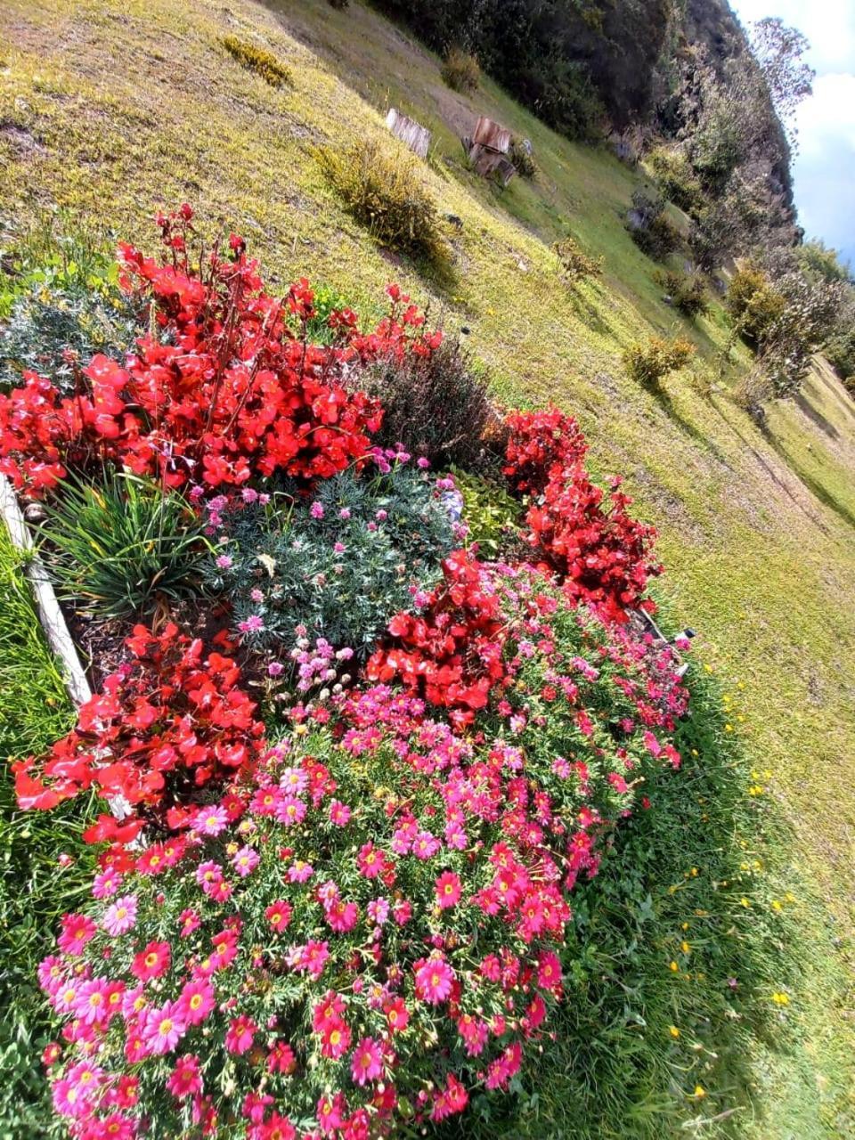 Glamping Hermoso Amanecer Guatavita Eksteriør bilde